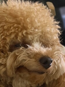 over the past few weeks (13).jpg