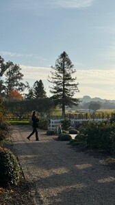 [2025.11.29] msgigiparis_3776712923142929812.jpg