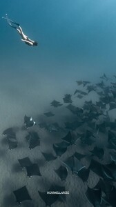 [2025.12.08] alexsharks__3783192803812076213.jpg