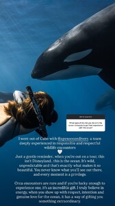 [2025.12.11] carmellarose_3785718320759700164.jpg