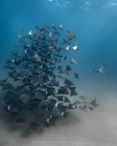 [2025.12.20] carmellarose_603633675_18553754491035727_126809705252349866_n.jpg