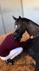 [2025.12.12] kendalljenner_3786166160120232244.jpg