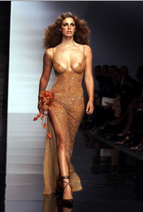 VanessaIncontrada (3).png