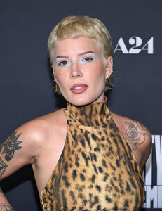 halsey-31.jpg