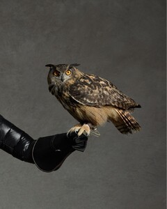 [2025.10.25] mackage_570071627_18540142570039116_5870497563972896382_n.jpg