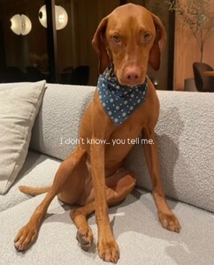 [2026.01.05] katelove_611263953_18551558050054296_4732857907046973192_n.jpg