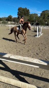 [2026.01.12] megan_samperi's2026-1-13-1.52.782 story.jpg