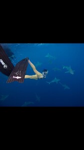 [2026.01.15] nina's2026-1-15-21.29.749 story.jpg