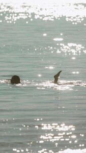 [2026.01.19] zoleilofficial_DTtazuSjFwZ.jpg