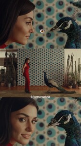 [2026.01.24] handemiyy's2026-1-24-8.11.565 story.jpg