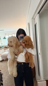 [2026.01.24] kikagomes's2026-1-24-18.3.509 story.jpg