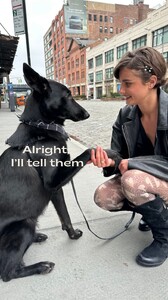 [2026.01.28] tateandtaylor's2026-1-28-12.40.948 story.jpg