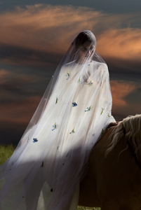 Bildschirmfoto 2025-09-23 um 12.43.09.png