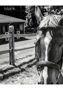 ICON Magazine Italy_21.jpg