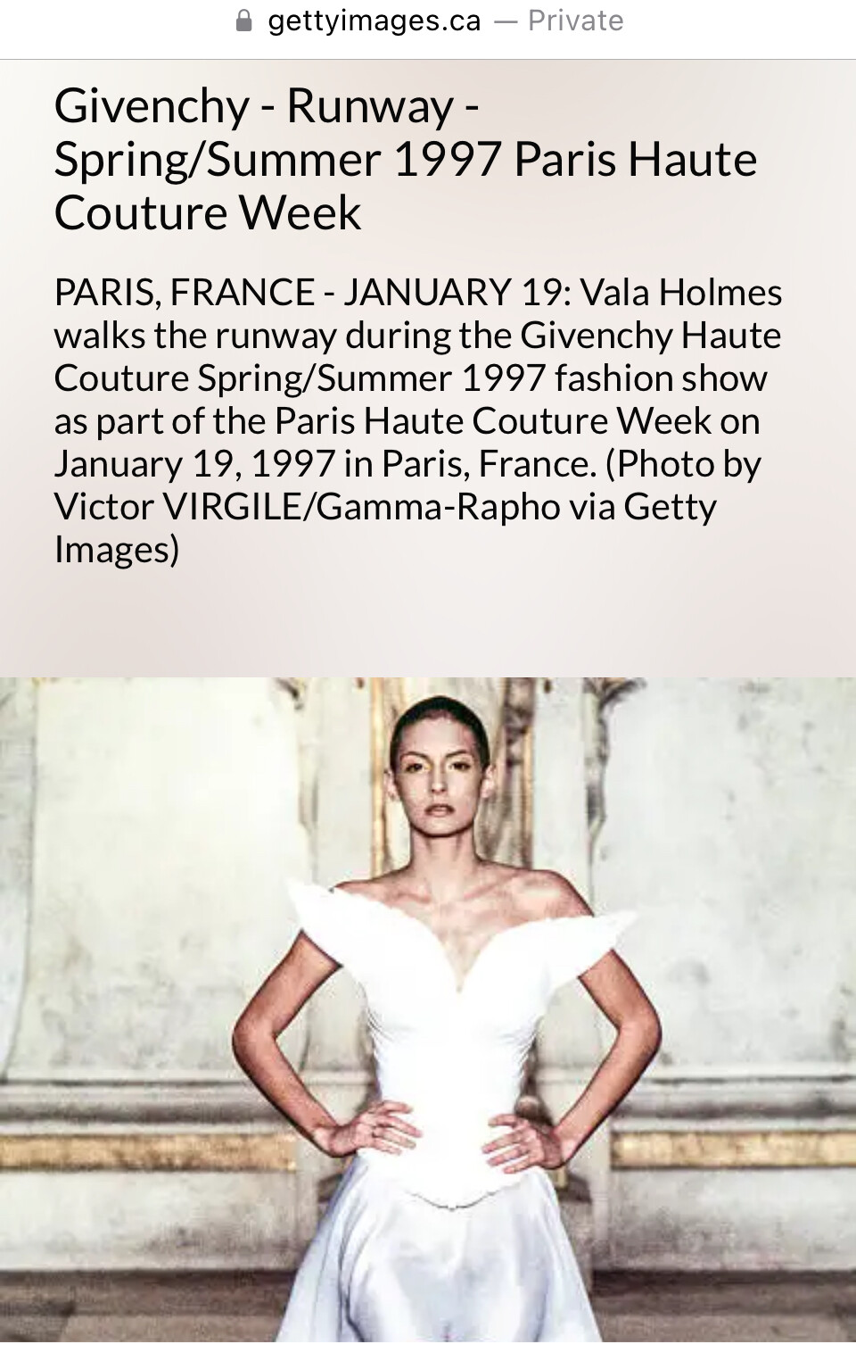 IMG_7986.jpeg IMG_7986.jpeg