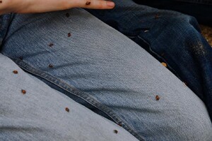 Puma and Olivia by the creek(8).jpg