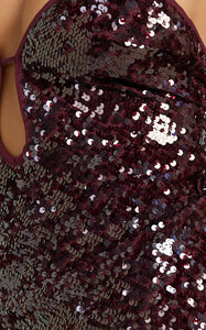 YasminC - Showpo - Finn_Mini_Dress_-_Plunge_Neck_Sheer_Sequin_Dress_in_Wine_10.jpg