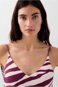 banador-cebra (1).jpg