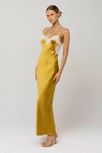 celine-dress-in-gold-5776889.jpg