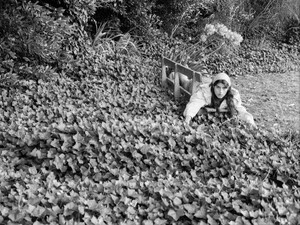 fausto.elizalde_3811438544422625759's2026-1-29-9.35.279 story.jpg