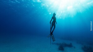 [2026.02.09] carmellarose's2026-2-10-0.40.988 story.jpg