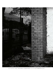 Harper's Bazaar Italia 02.2026_9.jpg