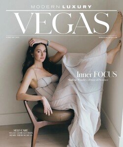 Modern Luxury Vegas 226.jpg