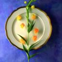 InsideBeauty's avatar