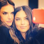 johnnicecool's avatar